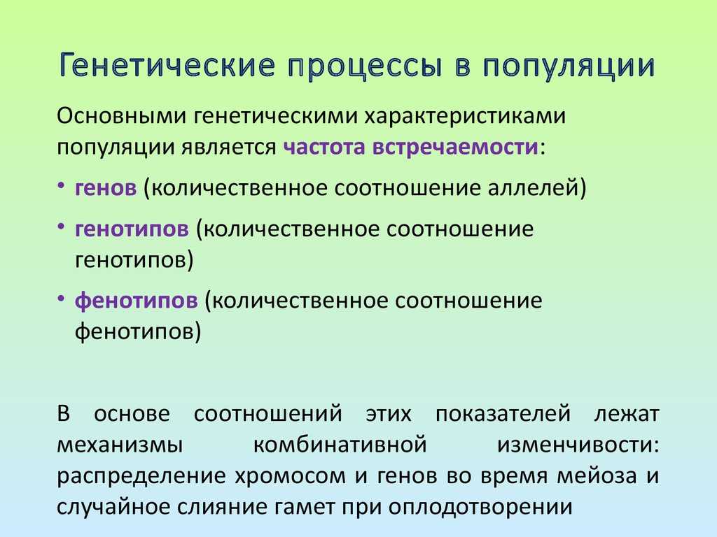 Что такое чистые линии. популяции и чистые линии в генетике животных