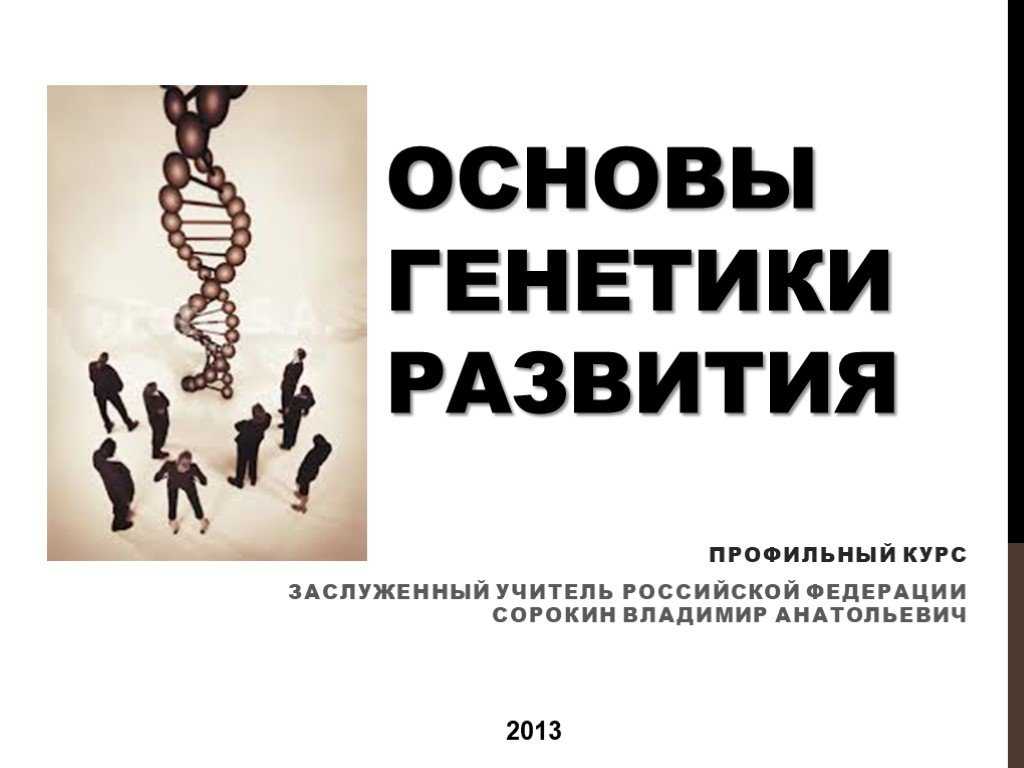 Глава 13. генетика развития[1]
