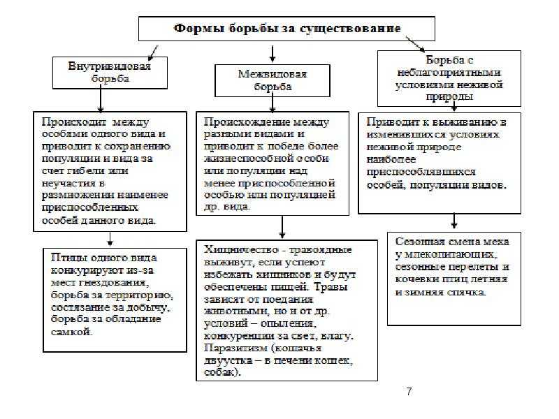 Борьба за существование - биология - я биолог