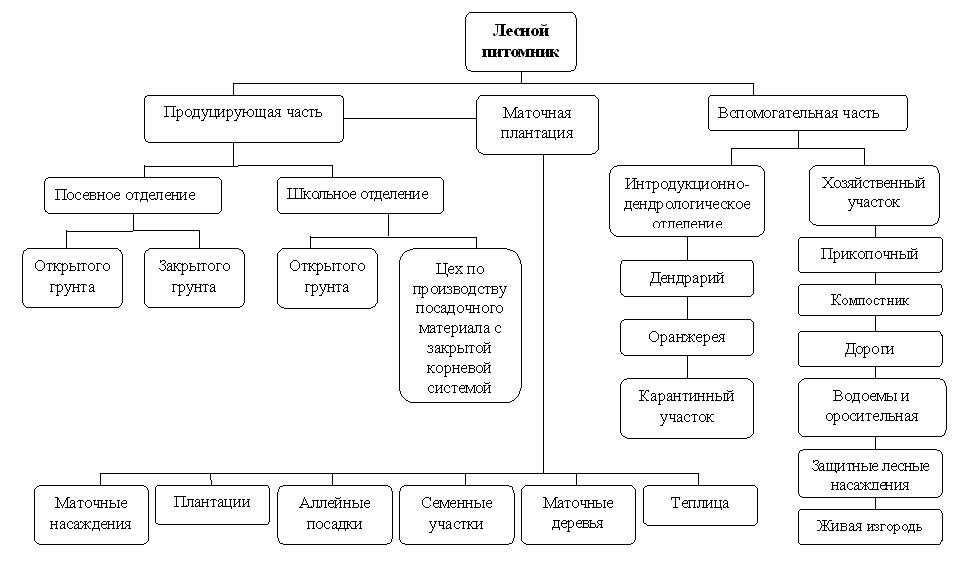 Структура плодового питомника
