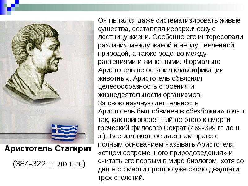 Лестница жизни