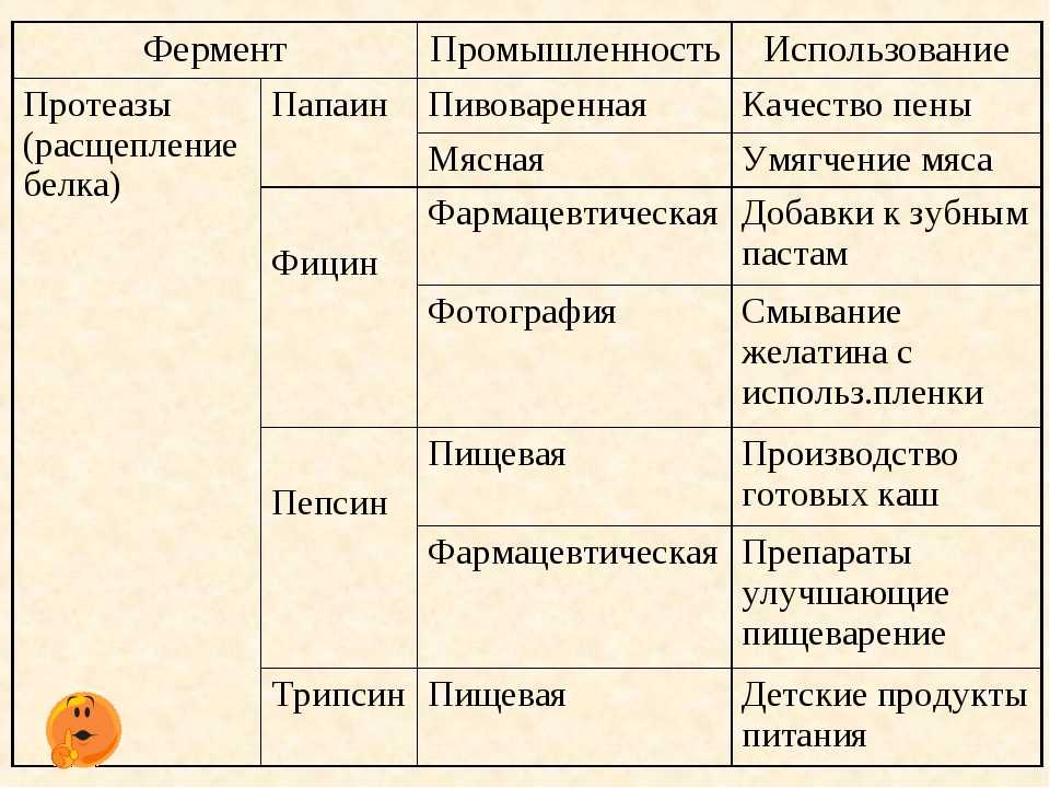 Ферменты