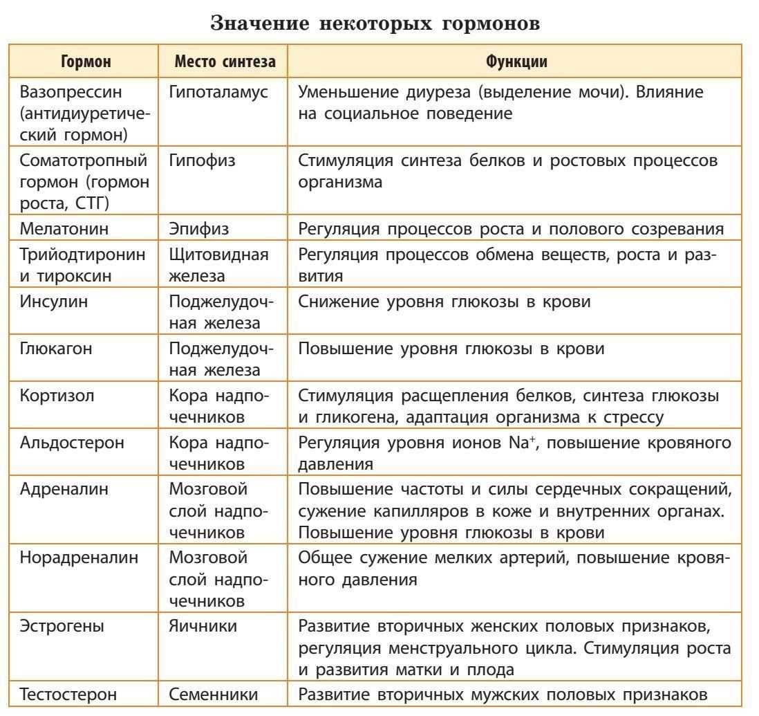 Понятие о системе органов человека: описание и характеристики