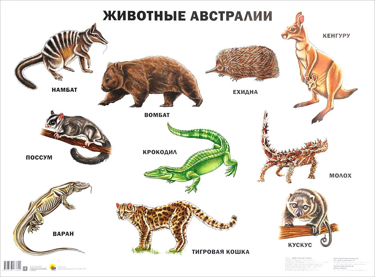 Природные зоны европы