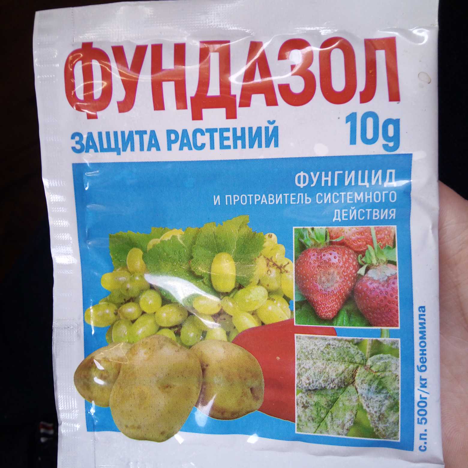 Фунгициды для растений: что это такое, список препаратов