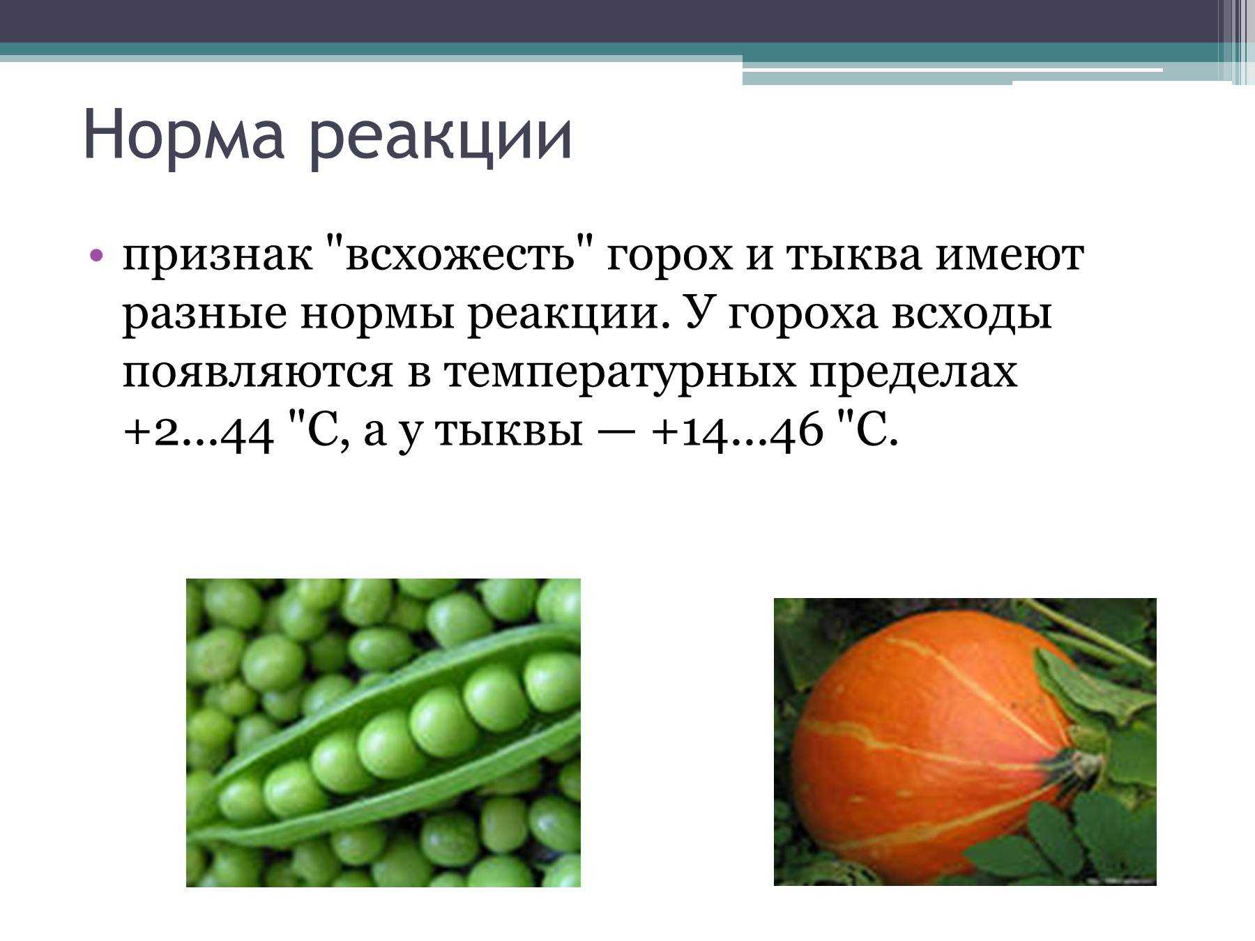 Каковы формы изменчивости? [1989 морозов е.и., тарасевич е.и., анохина в.с. - генетика в вопросах и ответах]