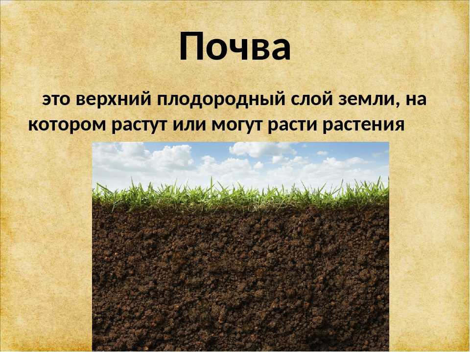 Гигиенические требования к почве