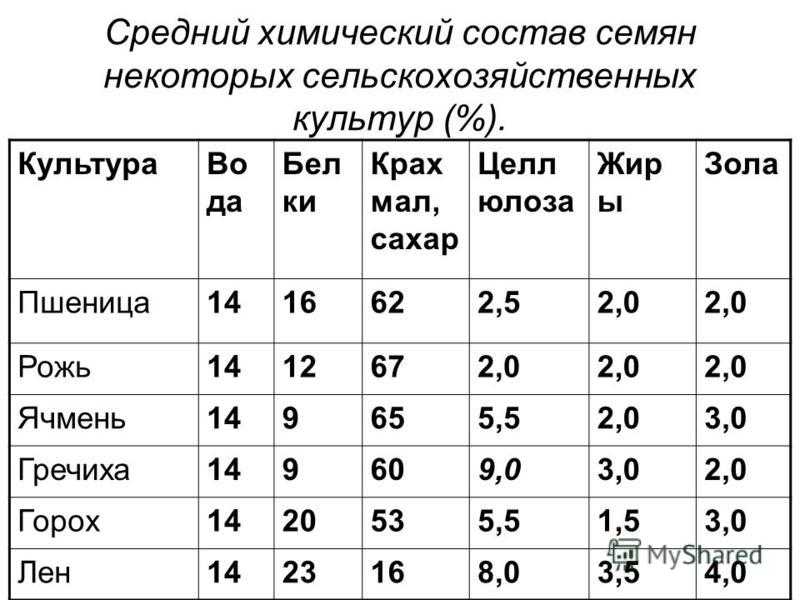 Химический состав зерна пшеницы кратко