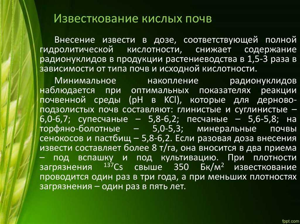 Кальций