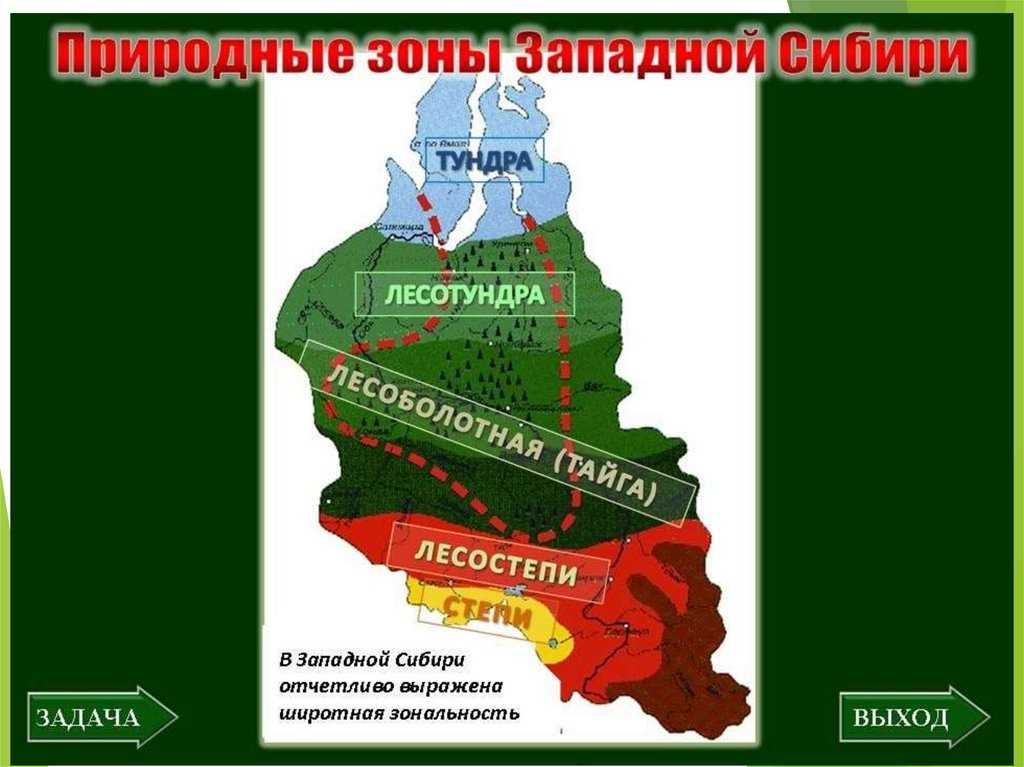 1.6 растительность