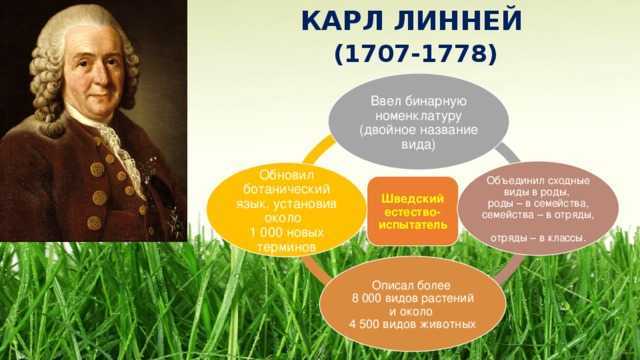 10 попыток объяснить существование жизни без дарвиновской теории эволюции