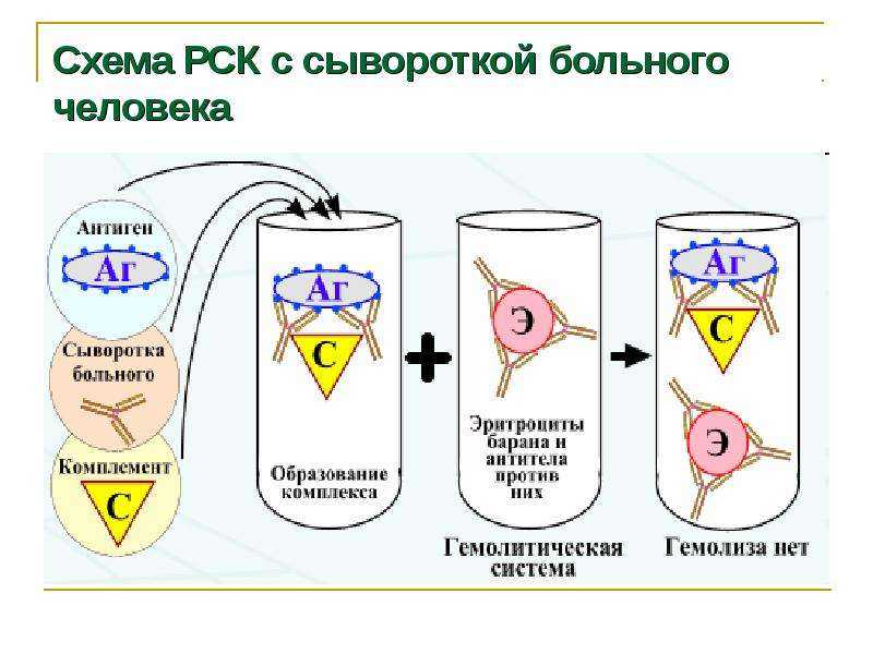 Серологические реакции