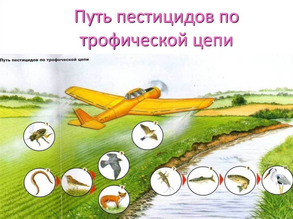 Применение пестицидов