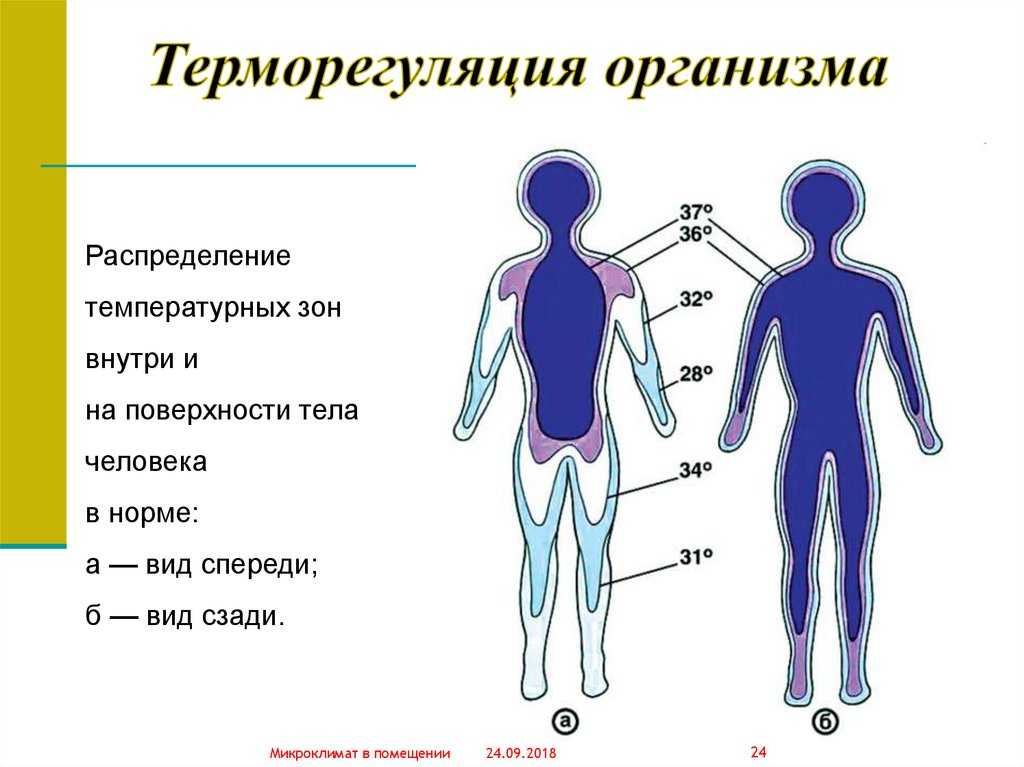 Биология. 10 класс