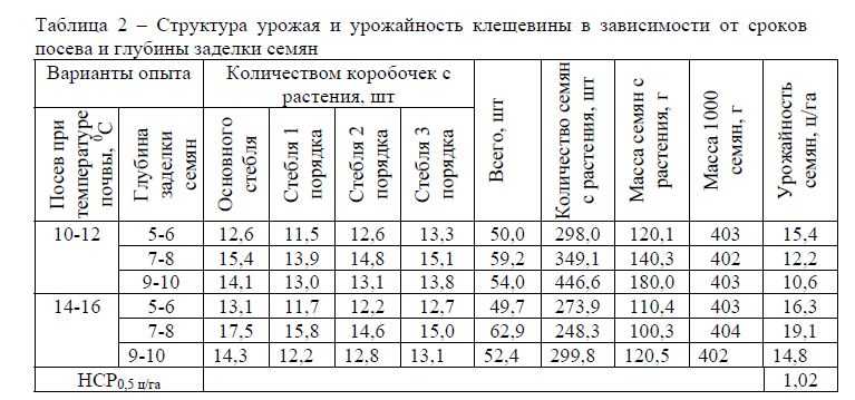 Сроки посадки лесных культур осенью