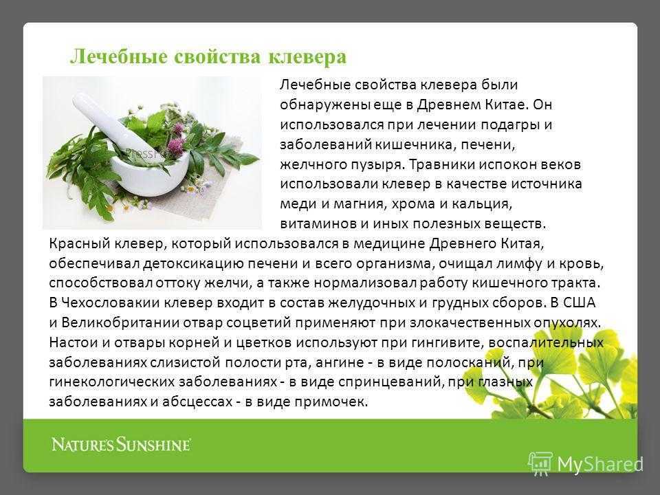 Клевер гибридный формула цветка