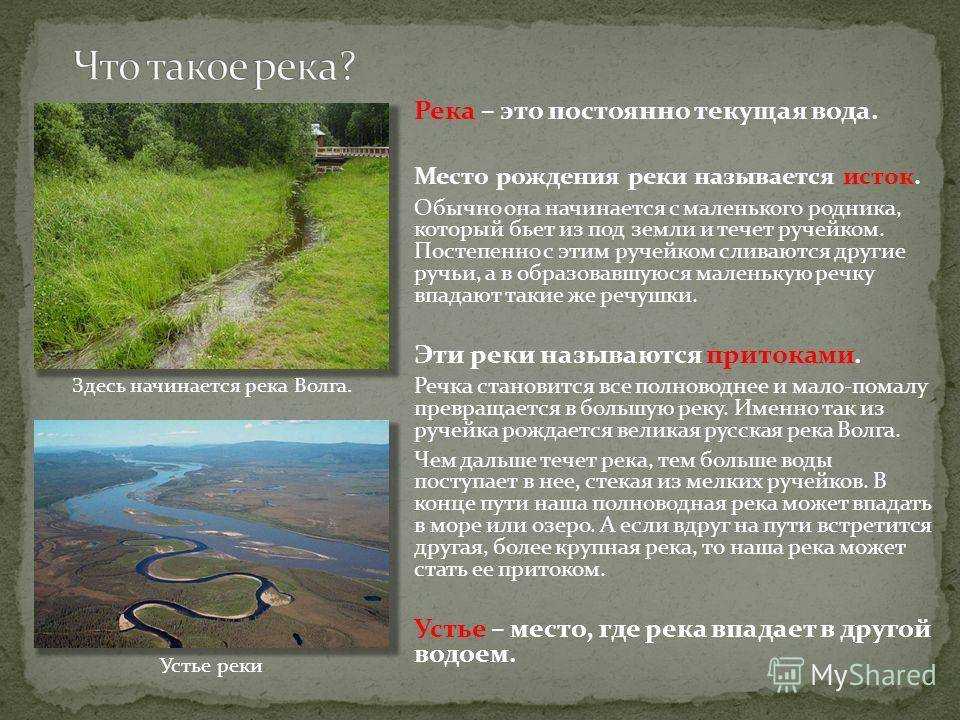 Сколько рек в россии — самые известные водоёмы на территории самого большого государства