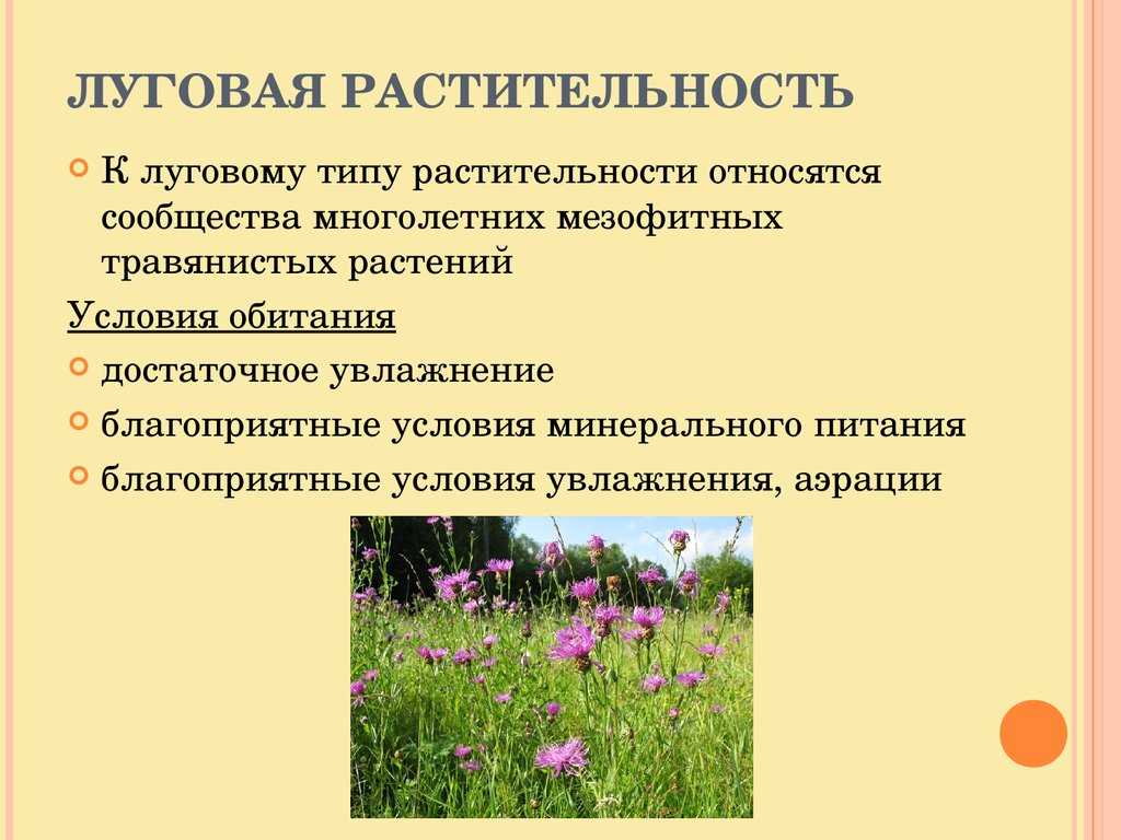 Биология
