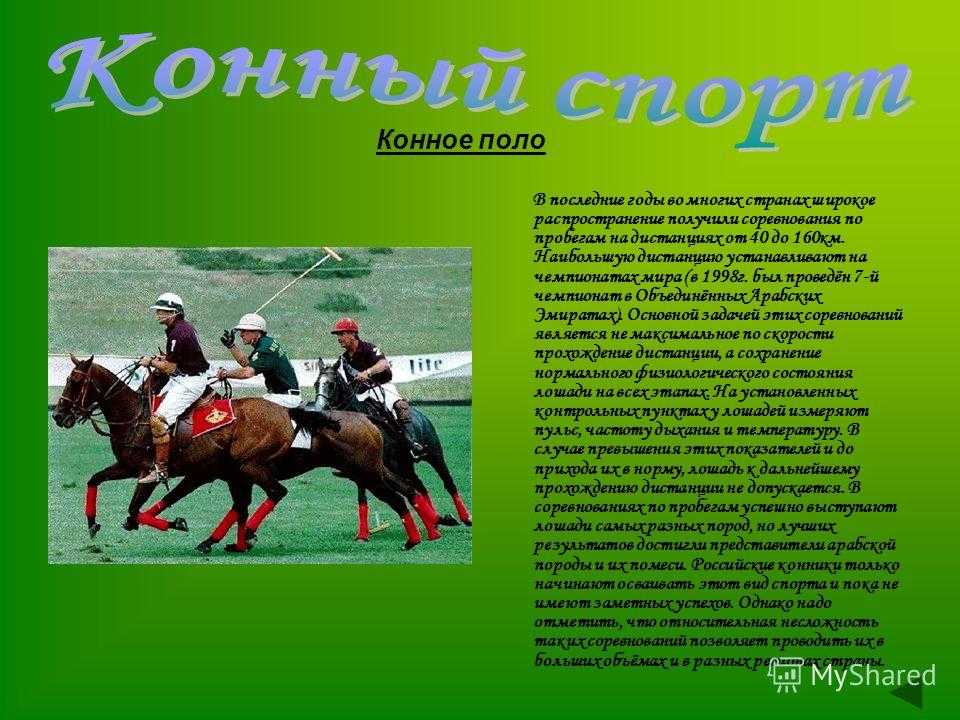 Люди спортивного туризма // фстр // спортивный туризм в россии