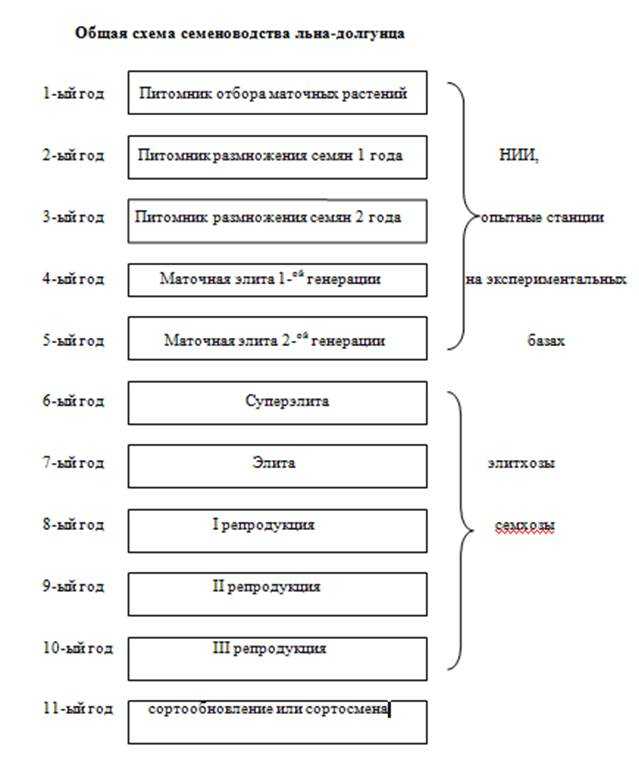 Семена зерновых культур в наличии