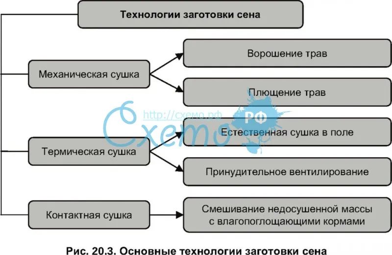 Заготовка сена