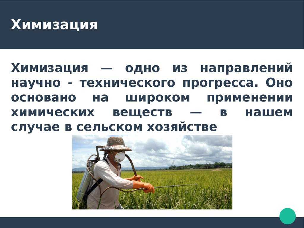 Презентация на тему: "уничтожение и химизация сельского хозяйства. химизация сельского хозяйства- это? химизация сельского хозяйства - комплекс мероприятий, опирающийся на.". скачать бесплатно и без регистрации.