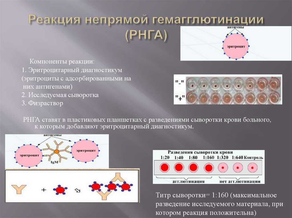 Как расшифровывается рпга анализ крови и каким образом к нему подготовиться?