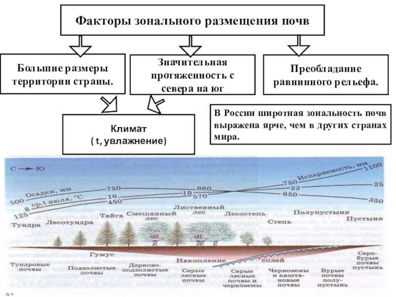 Смена природных зон от экватора к полюсам – как называется, в зависимости от чего происходит