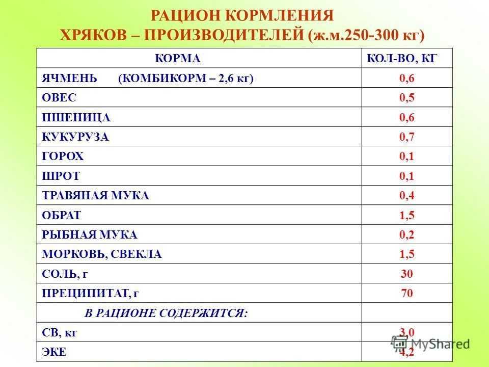 Оборудование для моциона хряков-производителей. технология содержания животных - курсовая работа