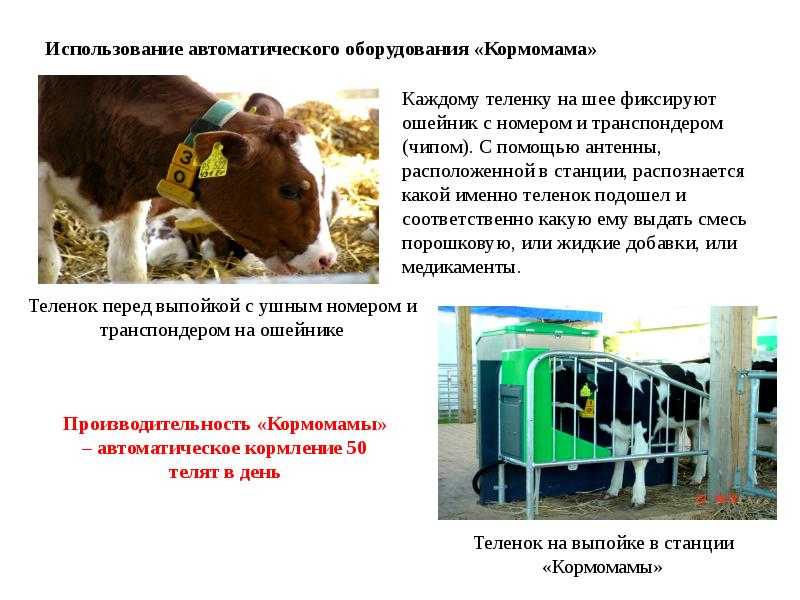 Новые технологии в сельском хозяйстве