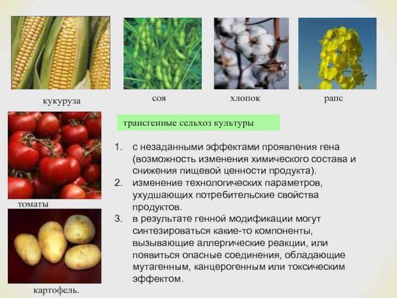 Иммунитет растений и селекция на устойчивость к болезням и вредителям