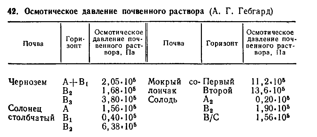 Презентация на тему "почвенный раствор – это жидкая фаза почвы в природных условиях"