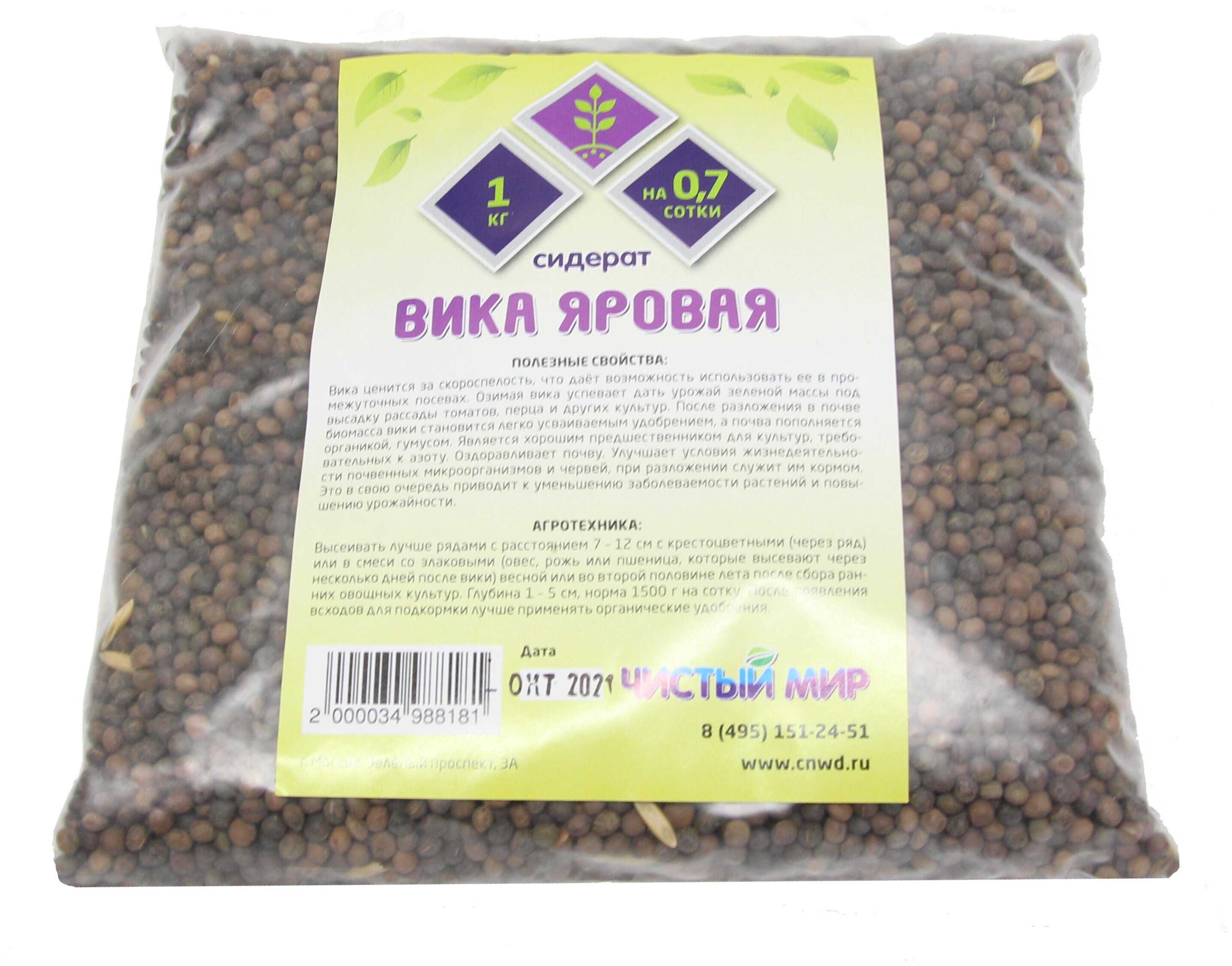 Описание растения вика посевная яровая, как используют и особенности посадки