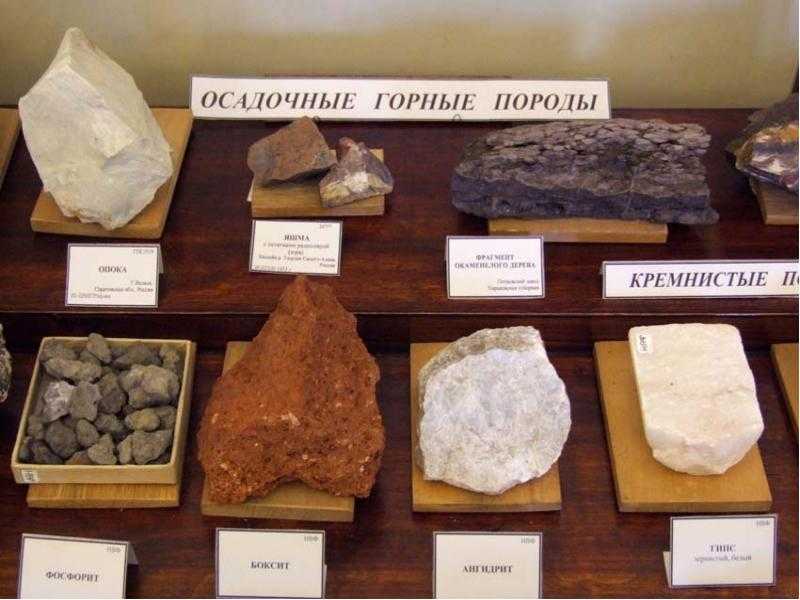 Осадочные горные породы