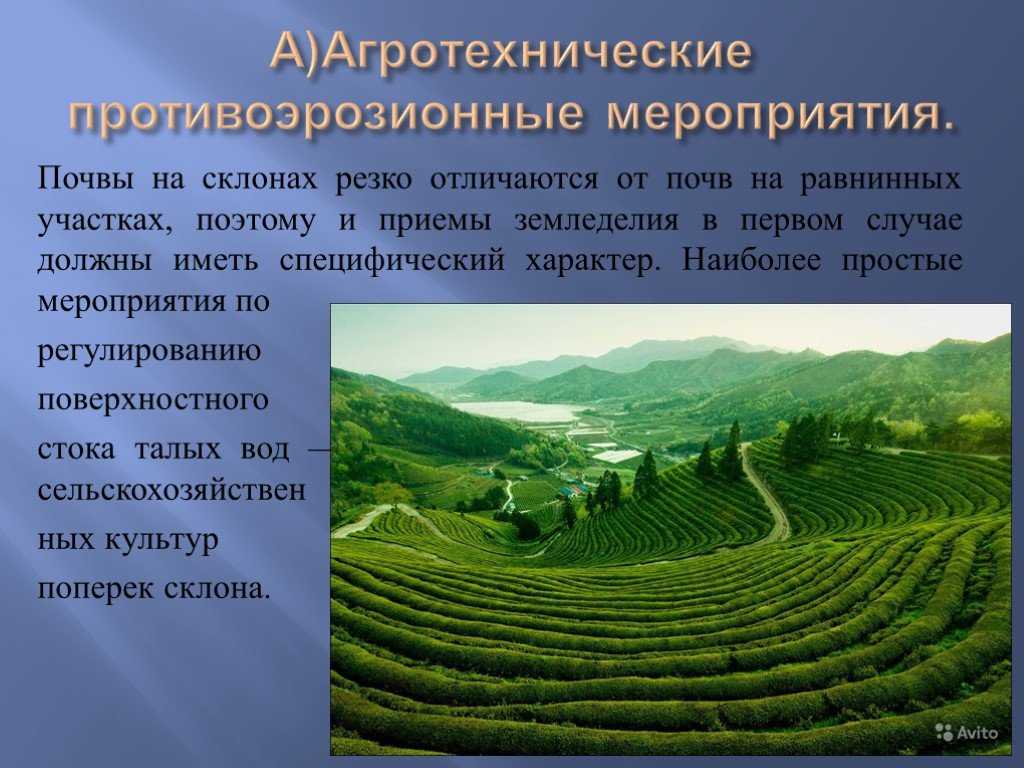 Что дают покровные культуры для почвозащитного земледелия