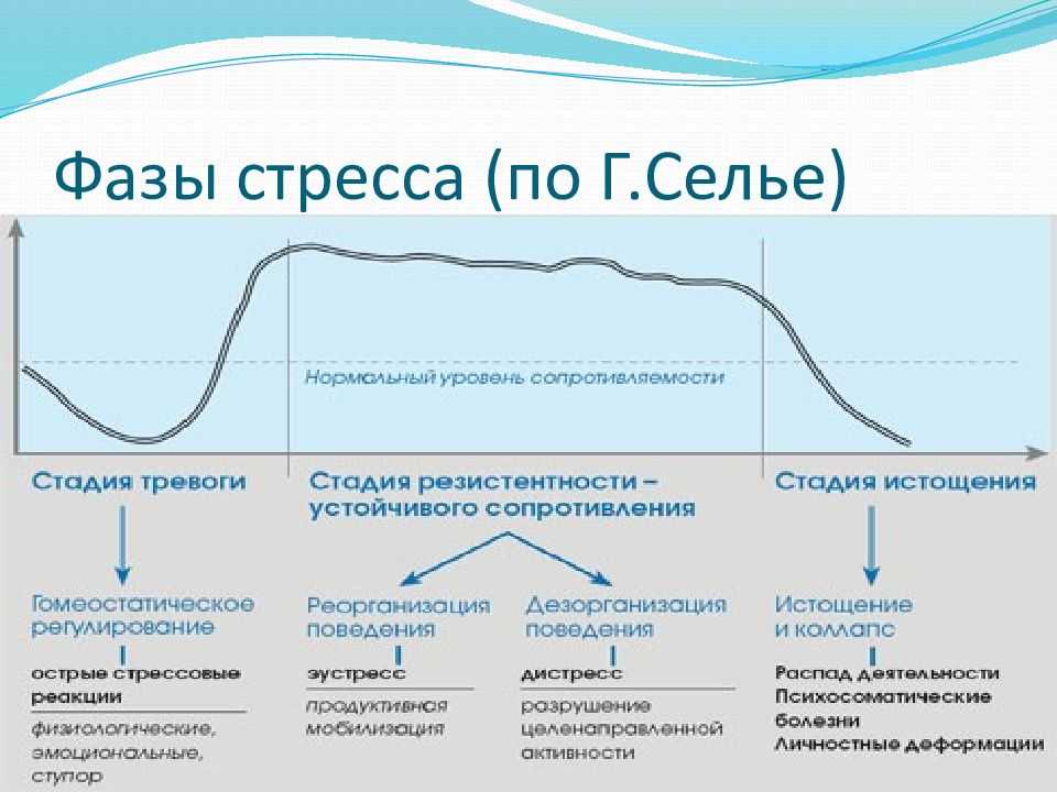 Основные положения концепции г. селье - med24info.com
