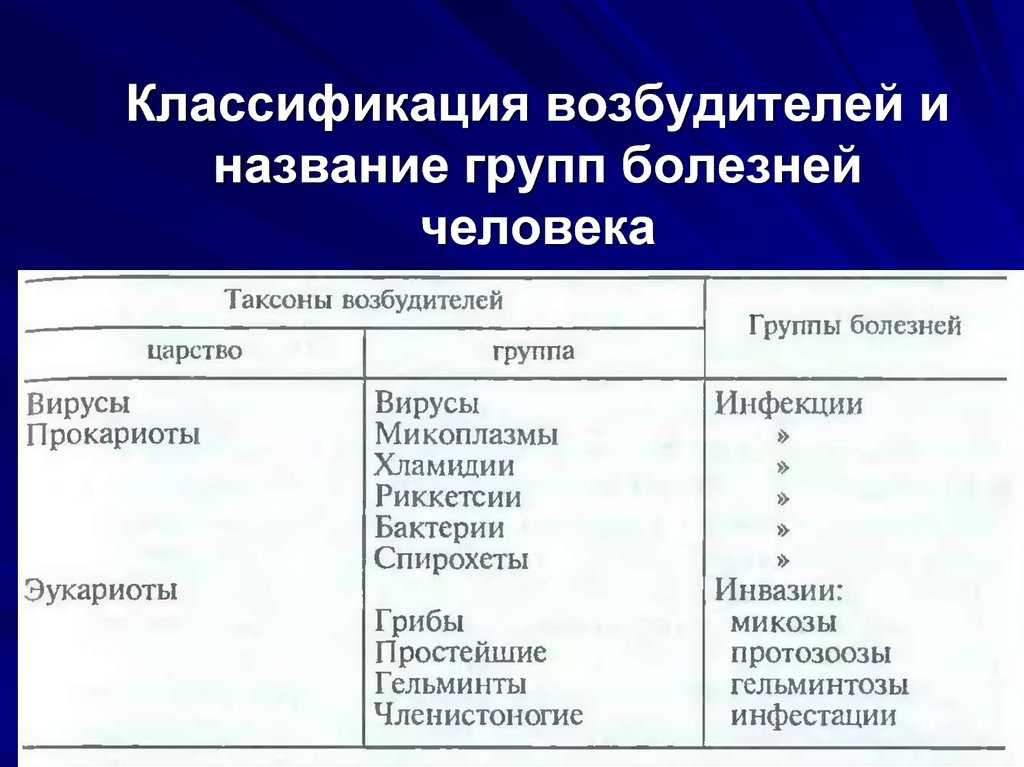 Раздел в ветеринарная гельминтология