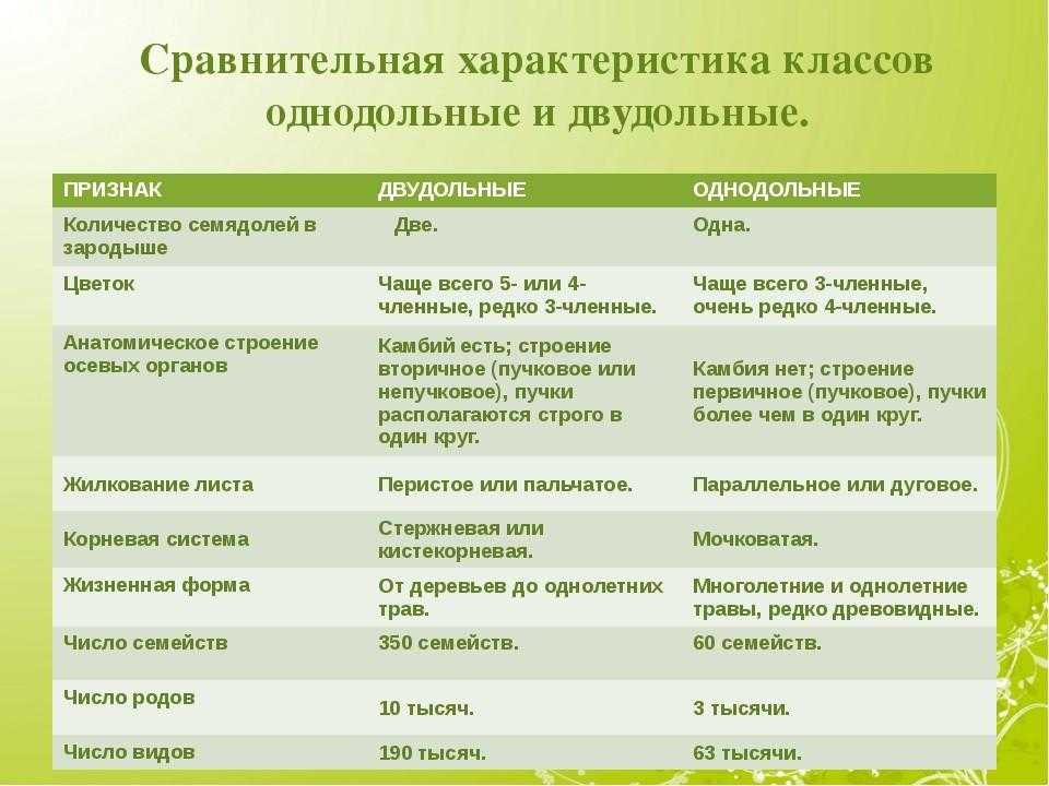 Ранние стадии развития растений - строение и развитие тела покрытосеменных - современная ботаника - 1990