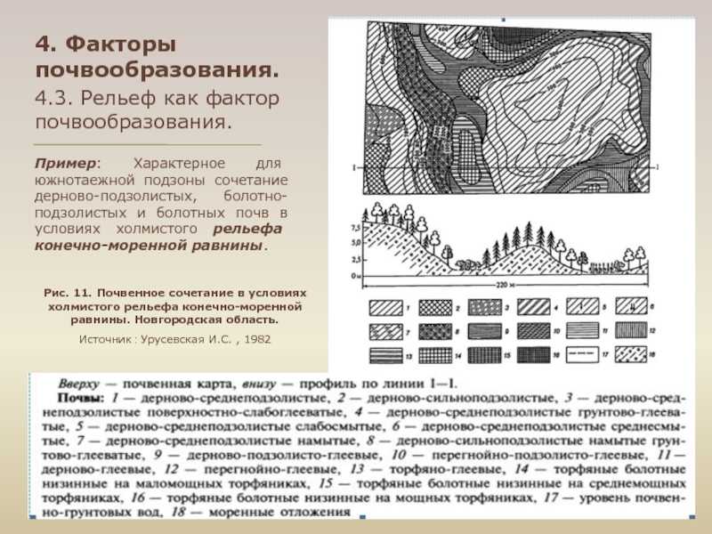 Почвоведение