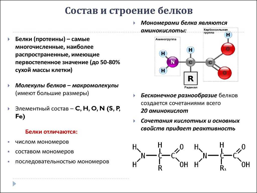 Химические и физические свойства белков, уравнения реакций белков