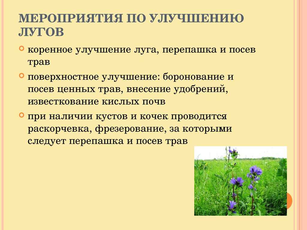 Поверхностное улучшение
 - большая энциклопедия нефти и газа, статья, страница 1