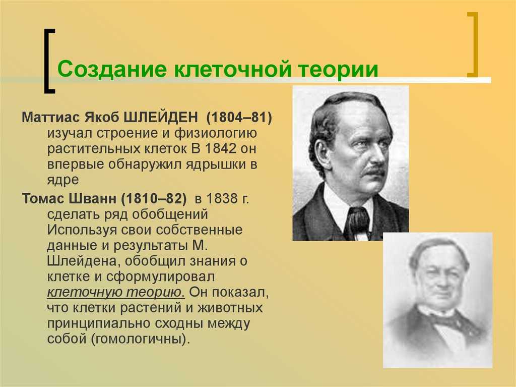 Ошибки клеточной теории шлейдена и шванна