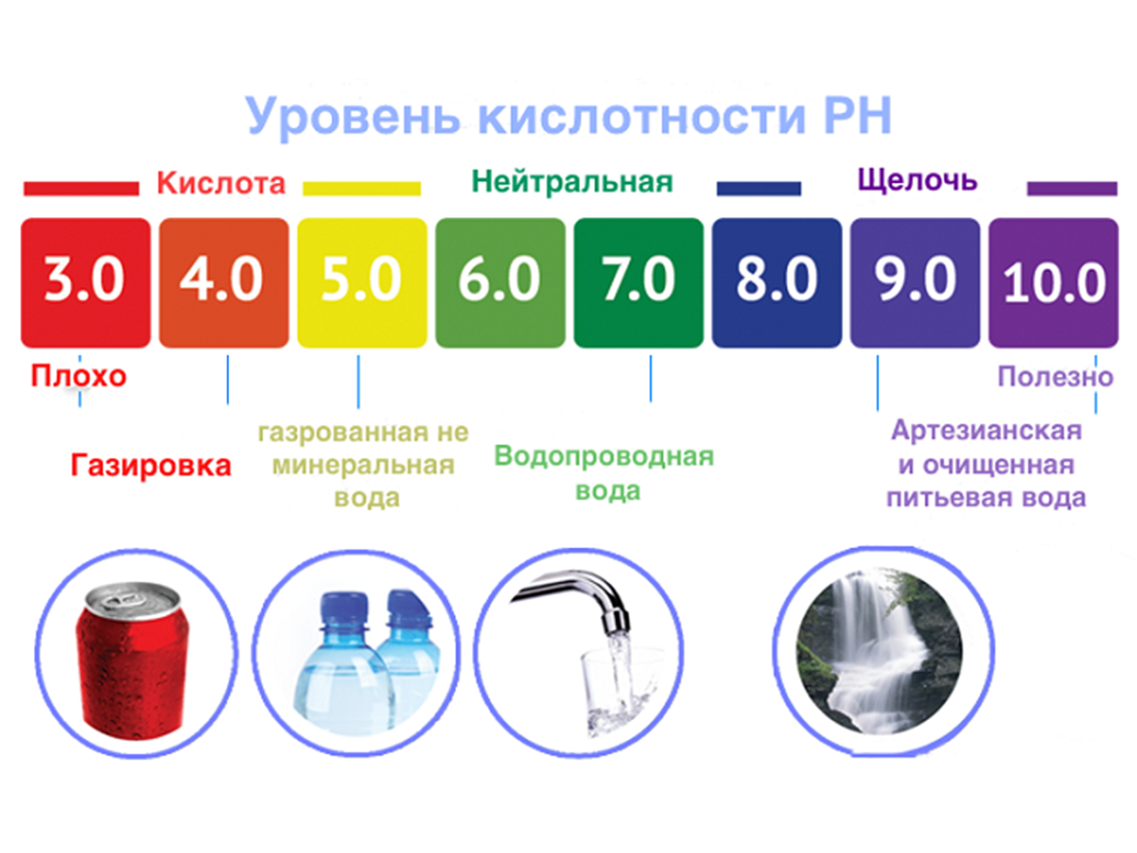 Влияние химических факторов на развитие микроорганизмов. микроорганизмы и среда