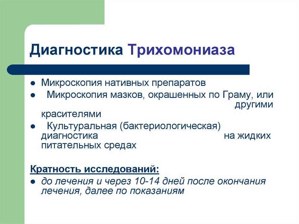 Трихомоноз у голубей: симптомы и лечение