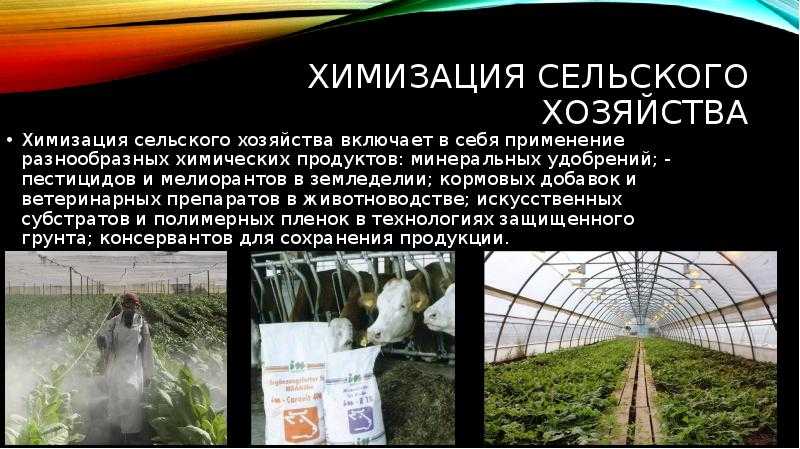 Презентация на тему "уничтожение и химизация сельского хозяйства" по биологии