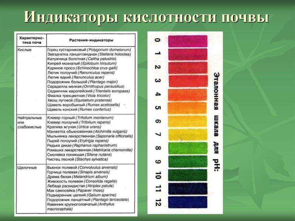 Кислотность почвы