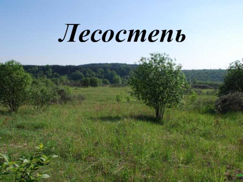 Читать онлайн книгу по тундрам, лесам, степям и пустыням - александр кожевников бесплатно. 13-я страница текста книги.