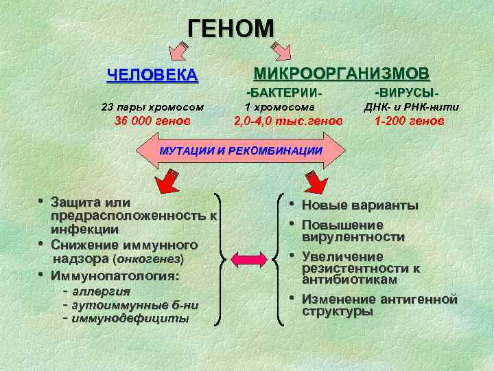 Практическое занятие №6. 2. тема: генетика бактерий. молекулярно-биологические методы диагностики