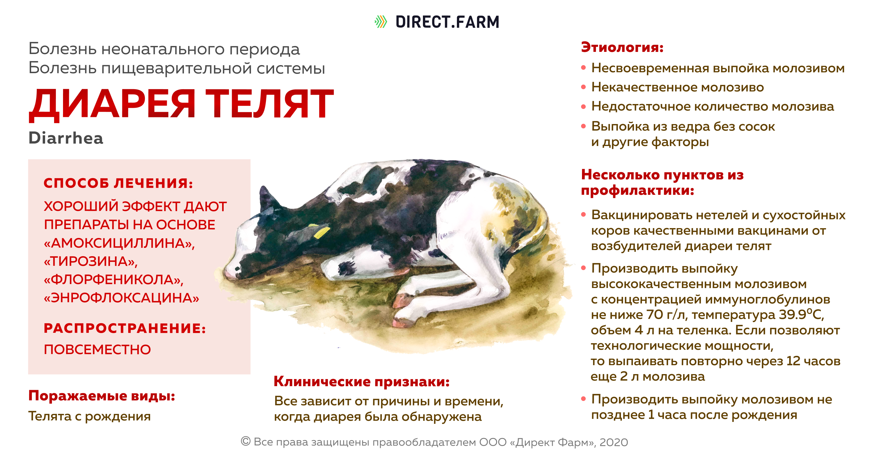 Ru2200559c2 - способ профилактики эзофагостомоза молодняка крупного рогатого скота 
        - google patents