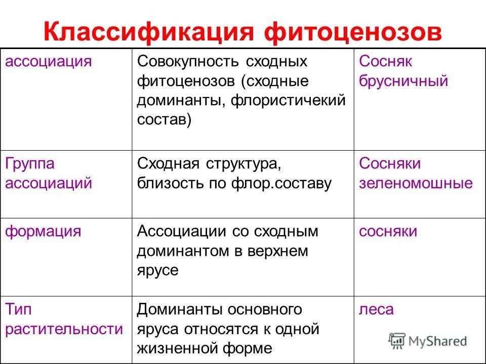 Характеристика фитоценозов. контрольная работа. биология. 2014-02-15